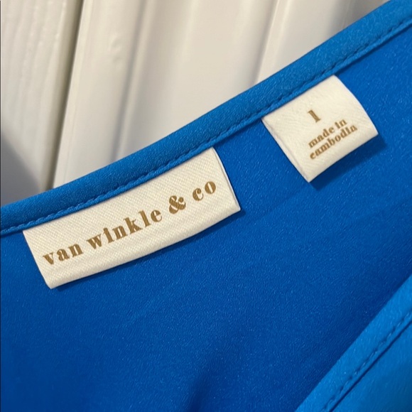 Vibrant Blue Maxi Slip Chemise with Spaghetti Straps - Picture 3 of 7